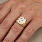 Tricolor gouden zegelring