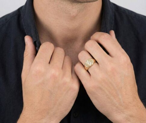 Gouden bicolor cachet ring