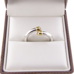 Bicolor ring met 2 briljanten