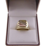 Tricolor gouden zegelring