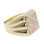 Tricolor gouden zegelring