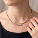 Bicolor gouden diamanten collier