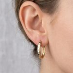 14 karaat gouden oorbellen met diamant