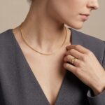 Gouden omega spang collier