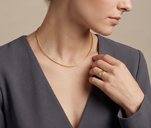 Gouden omega spang collier