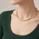 Gouden spang omega collier