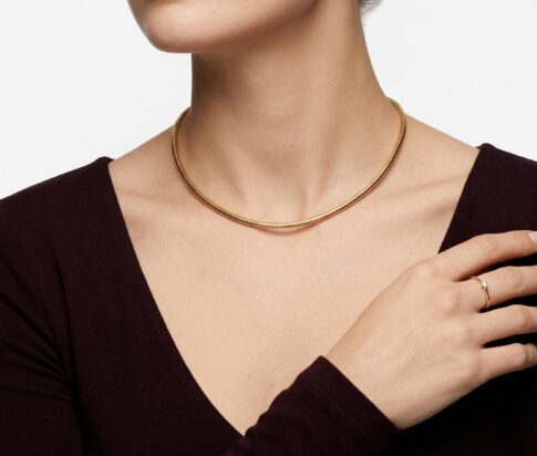 Gouden spang collier rond