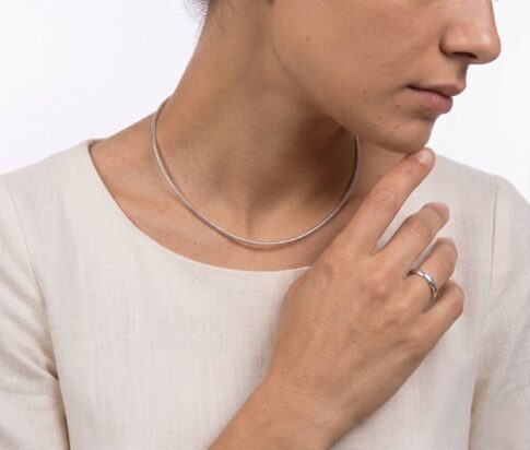 Wit gouden veer spang