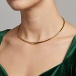 Gouden spang spits collier