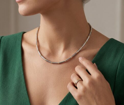 Bicolor gouden spang collier
