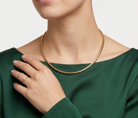 Geel gouden omega spang collier