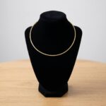 Gouden omega spang collier