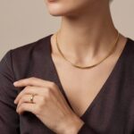 Gouden spang spits collier
