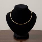 Gouden spang collier half rond