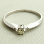 Christian 14 karaat wit gouden diamanten ring