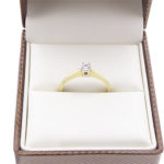 14 karaat gouden bicolor ring