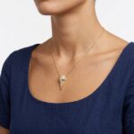 Gouden ketting met ijshoorn hanger