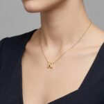 Gouden ketting met N hanger