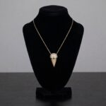 Gouden ketting met ijshoorn hanger