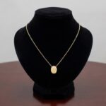 14 karaat ovale hanger met ketting