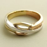 Gouden tricolor slagring