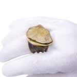 Zilveren ring met ruwe kwarts
