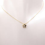 Bicolor gouden hanger met zirkonia ster