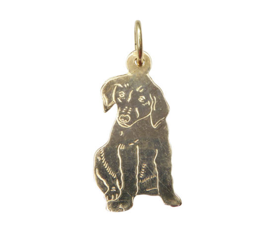 Gouden hond hanger