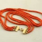 Bloedkoraal met gouden slot