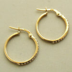 14 karaat zirkonia oorbellen