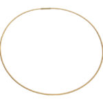 Gouden omega spang collier