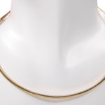 Gouden spang collier half rond