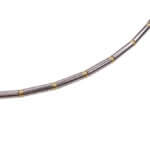 Bicolor gouden spang collier