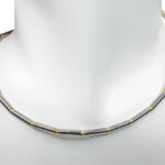 Bicolor gouden spang collier