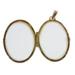14 karaat gouden medaillon met zirkonia