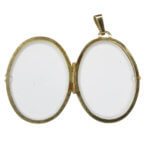 Geel gouden medallion met zirkonia