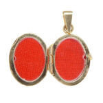 Tricolor gouden medaillon