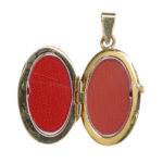 Tricolor gouden medaillon hanger