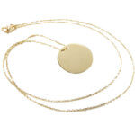 Gouden ronde hanger met ketting