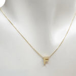 Gouden ketting met F hanger