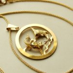 Gouden vissen sterrenbeeld hanger met ketting