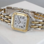 Bicolor Geneve Italy horloge