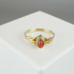 Gouden ring met ovale bloedkoraal