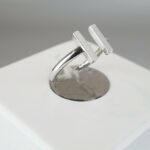 Christian wit goud twee balken ring
