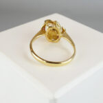 Gouden ring met parel en robijn