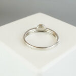 Wit gouden ring met 0.02ct.