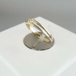 Bi color gouden ring met 0.04ct.