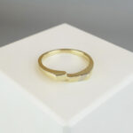 Bicolor gouden ring cachet model