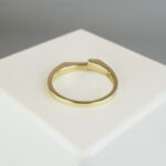 Bicolor gouden ring cachet model