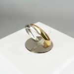 Wit en geel gouden ring met 0.03ct.